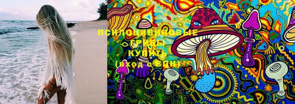 spice Костерёво