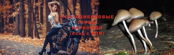амфетамин Краснослободск